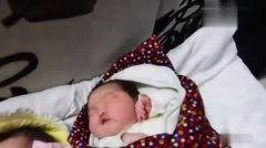 巨婴福利在线,揭秘新时代育儿政策下的福利盛宴