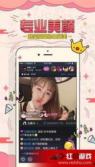 福利网看看在线视频,在线观看热门视频，畅享视听盛宴