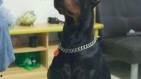 萌鹿鹿福利视频在线观看